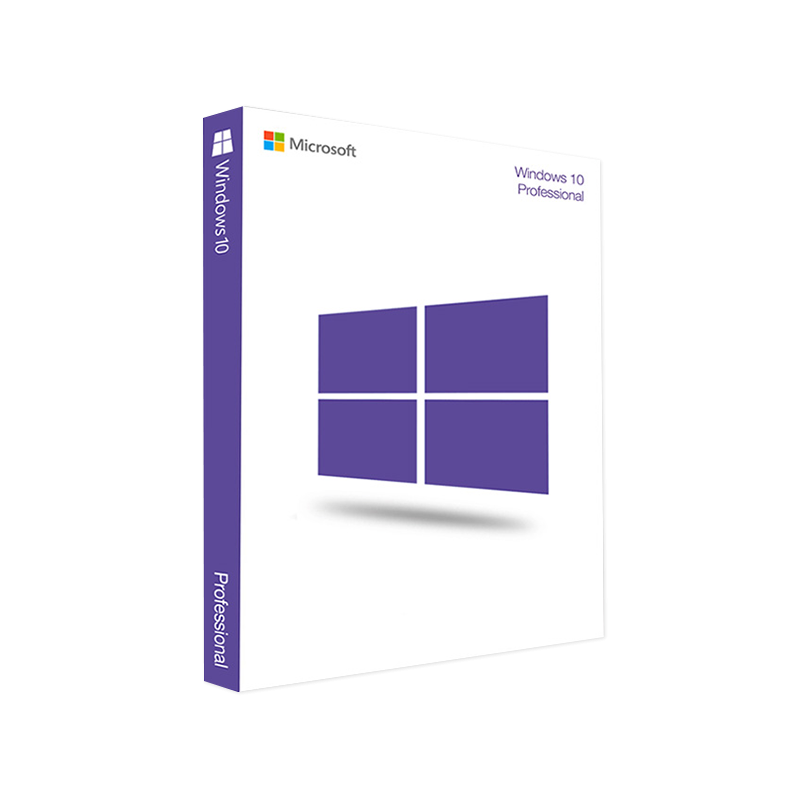 Microsoft Windows 10 Pro (OEM)