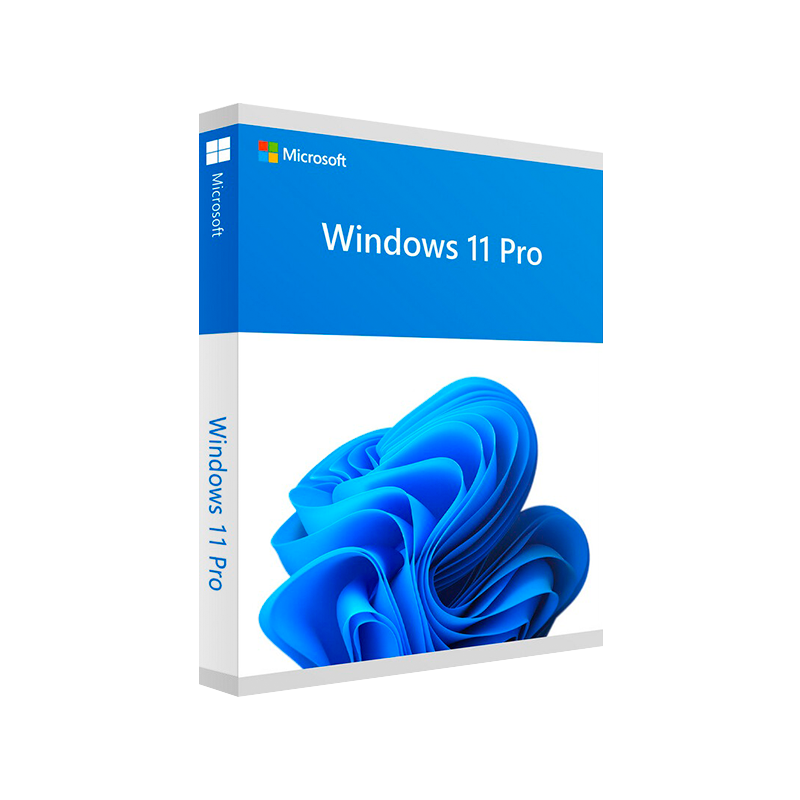 Microsoft Windows 11 Pro (OEM)